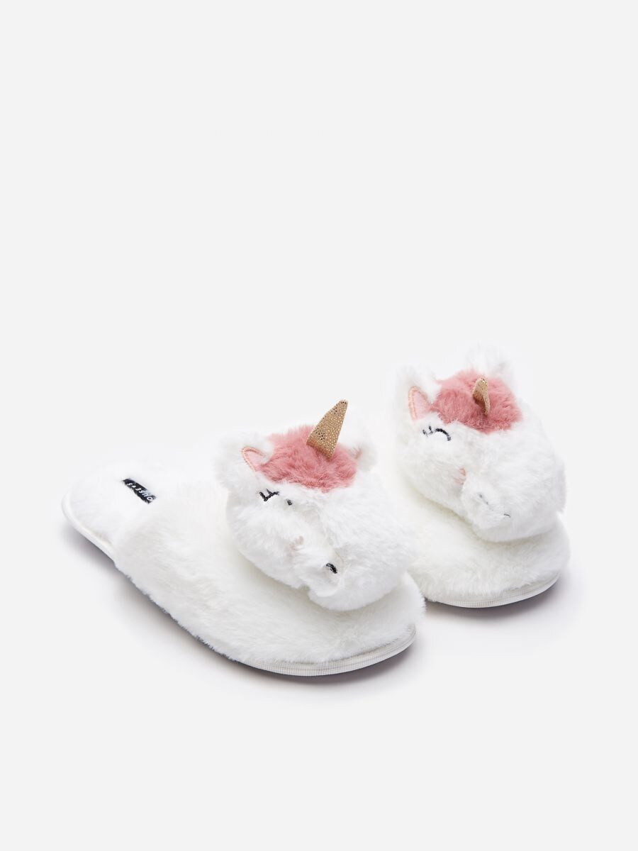 slippers in house