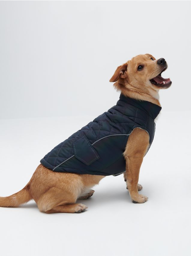Jacke für Hunde - bunt - 7044L-MLC - HOUSE