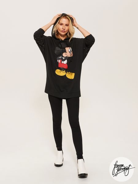 Mickey Mouse House